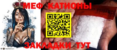хмурый Жуковский