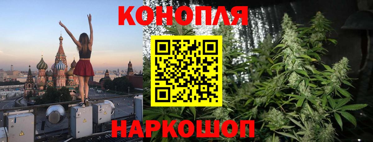 Шишки марихуана сатива  Вход с VPN  Канабис тримм  Бошки марихуана THC 21%  Нижнеудинск  Шишки марихуана планчик 